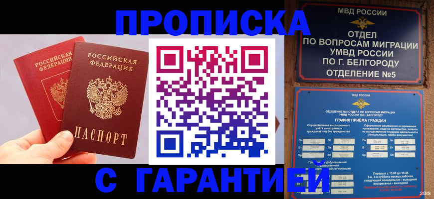 прописка 2025 в Кимовске